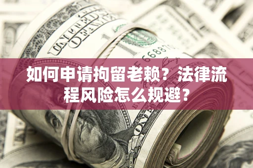 武汉如何申请拘留老赖？法律流程风险怎么规避？