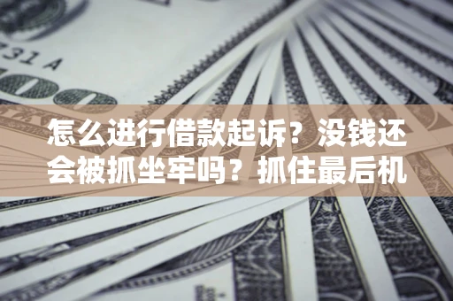 武汉怎么进行借款起诉？没钱还会被抓坐牢吗？抓住最后机会！