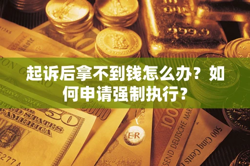 武汉起诉后拿不到钱怎么办？如何申请强制执行？