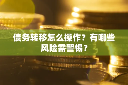 武汉债务转移怎么操作？有哪些风险需警惕？