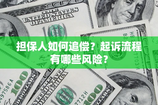 武汉担保人如何追偿？起诉流程有哪些风险？