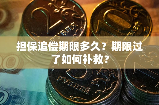 武汉担保追偿期限多久？期限过了如何补救？