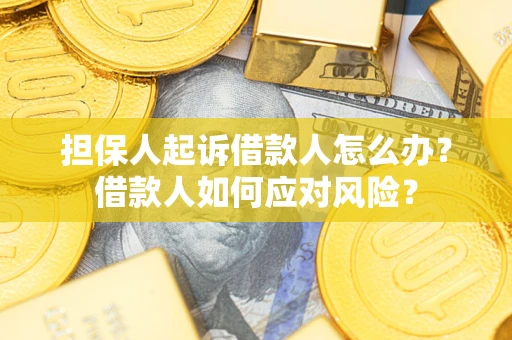 武汉担保人起诉借款人怎么办？借款人如何应对风险？