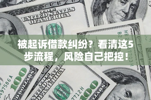 武汉被起诉借款纠纷？看清这5步流程，风险自己把控！