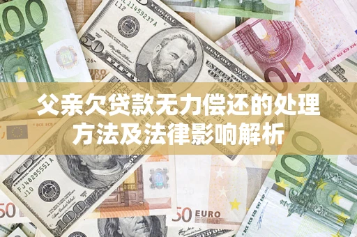 武汉父亲欠贷款无力偿还的处理方法及法律影响解析