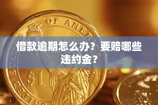 武汉借款逾期怎么办？要赔哪些违约金？