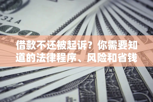 武汉借款不还被起诉？你需要知道的法律程序、风险和省钱技巧