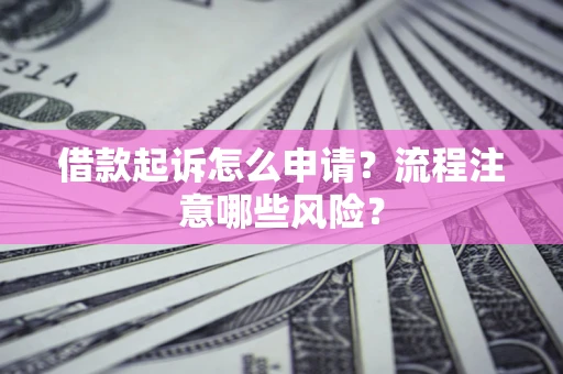 武汉借款起诉怎么申请？流程注意哪些风险？