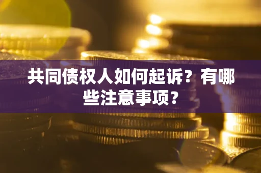 武汉共同债权人如何起诉？有哪些注意事项？